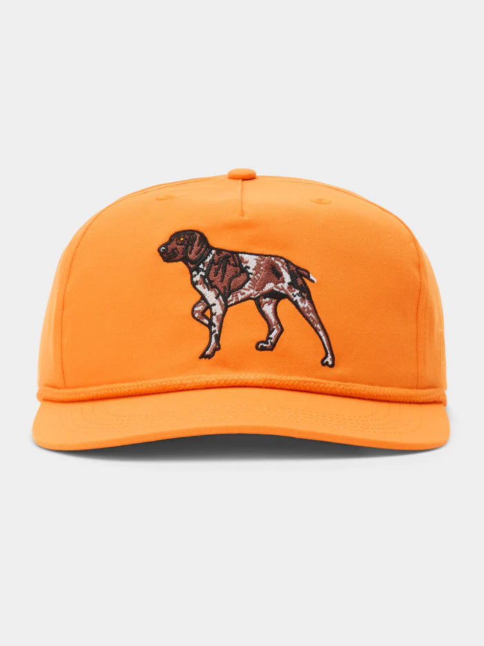 Duck Camp - Cap Pointer Blaze
