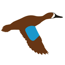 GenTeal Apparel