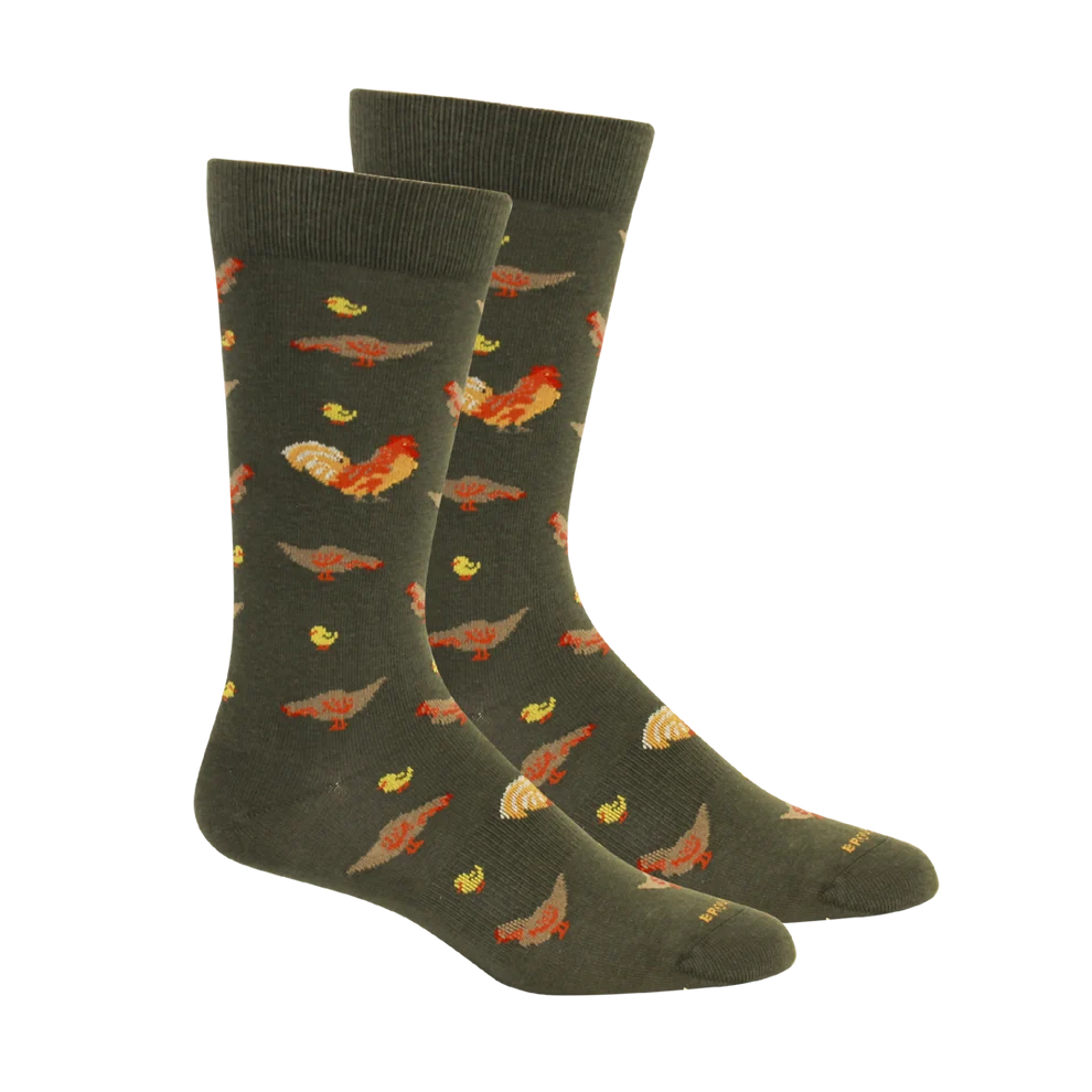 Brown Dog - Socks Chickens