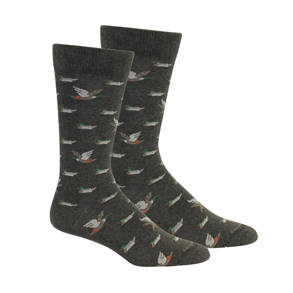 Brown Dog - Socks Belhaven