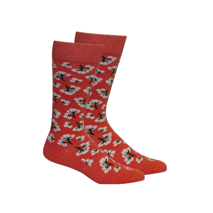 Brown Dog - Socks High Cotton