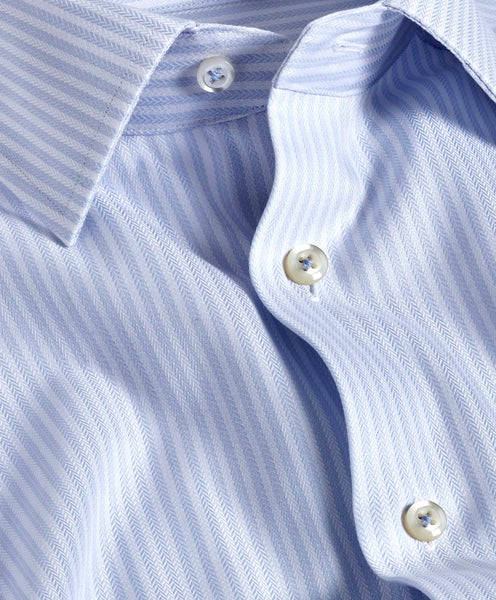 David Donahue - Trim Fit Shirt White/Sky