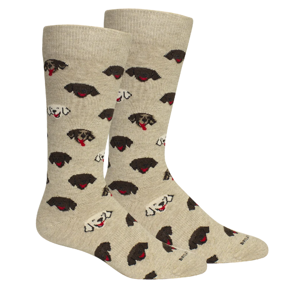 Brown Dog - Socks Happy Dog